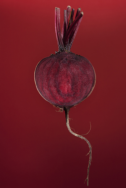 Beetroot by Adam Gasson