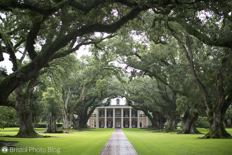 Oak Alley plantation in Louisiana - Photo by Adam Gasson / adamgasson.com