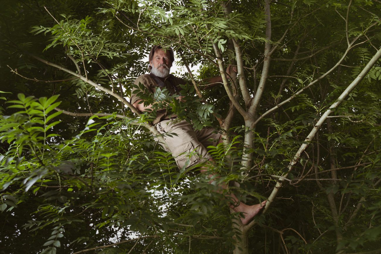 Photography of conservationist Ian Redmond in a tree