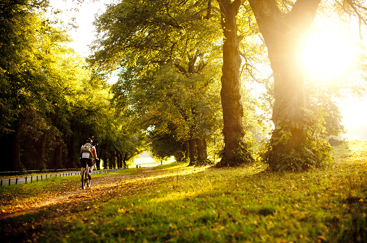 Ashton Court bike trails in Bristol by Adam Gasson / adamgasson.com