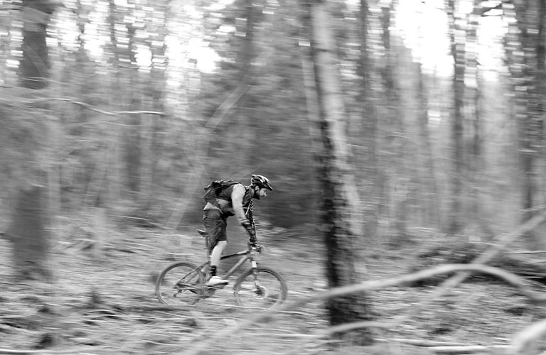 Leigh Woods bike trail by Adam Gasson