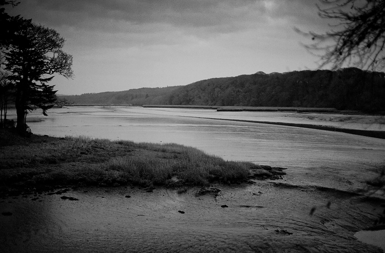 View from Slebech Park, Pembrokeshire by Adam Gasson.