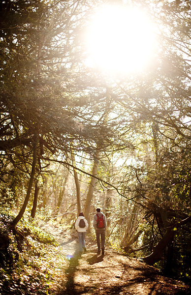 The Wye Valley walk near Tintern, Gloucestershire by Adam Gasson