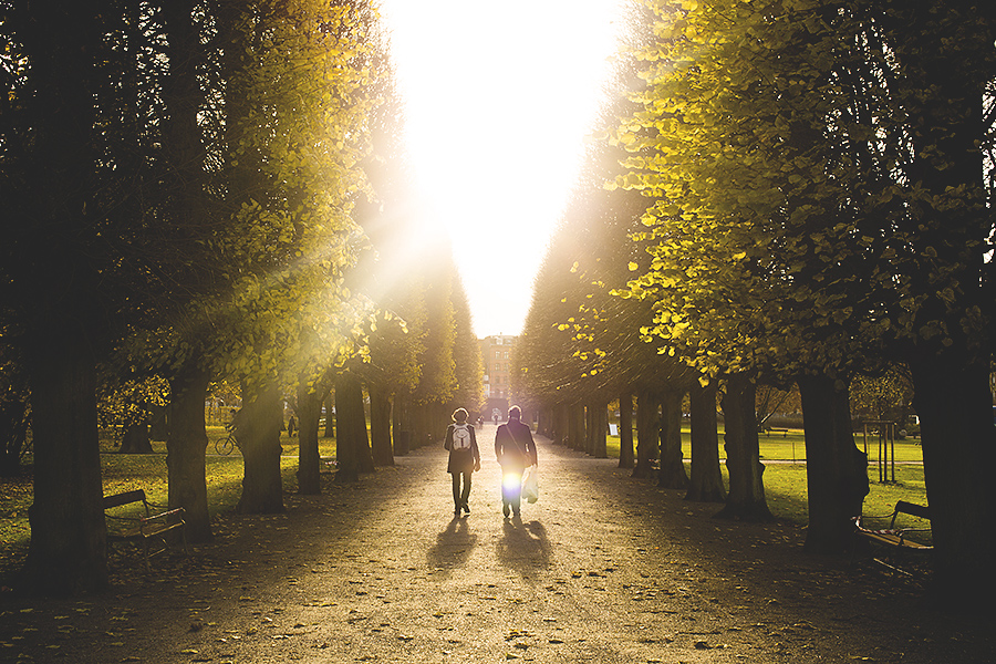 Copenhagen park sunset by Adam Gasson / adamgasson.com