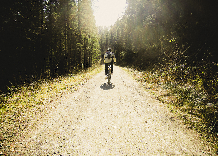 Gorlech trail, Brechfa forest, Carmarthenshire by Adam Gasson / adamgasson.com